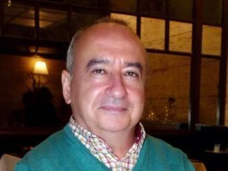 No a la cizaña, alternativas