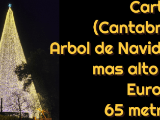 Conoce en este video el árbol de Navidad más alto de Europa (+video)