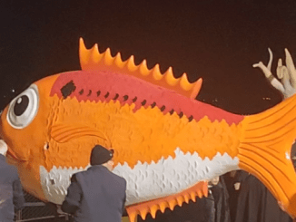 Un año mas en Santoña el Besugo fue absuelto del rapto de la Sirena y ante su postrero rechazo murió de amor