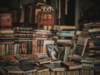 China brilla en la 42ª Feria Internacional del Libro Liber con más de 1.000 ejemplares y una propuesta de intercambio cultural con España