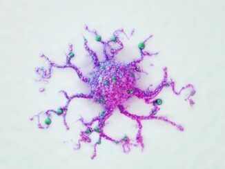 Un cangrejo de mil caras llamado cáncer