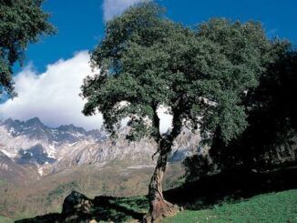 El Corredor de Ecoturismo de la España Verde iniciará
