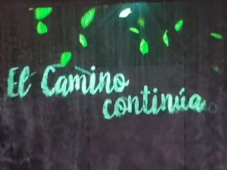 Cultura impulsa a través de la Fundación Camino Lebaniego 44 actividades de educación ambiental