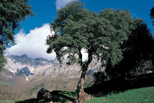 Cantabria